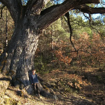 Casa Independiente Rural Ca De Corral